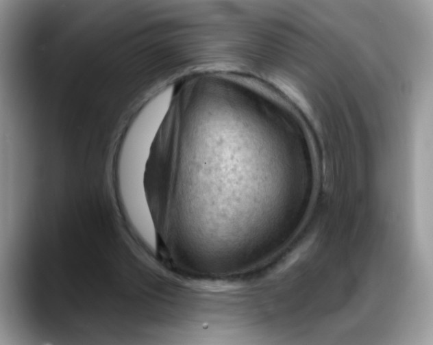 X0000088060389200706081654