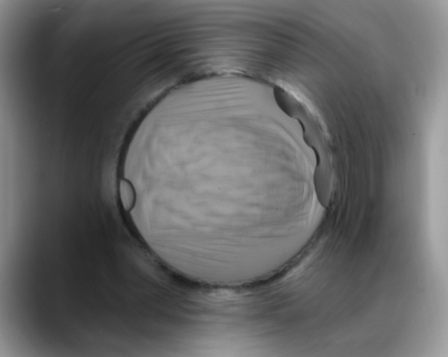 X0000088060390200706081654