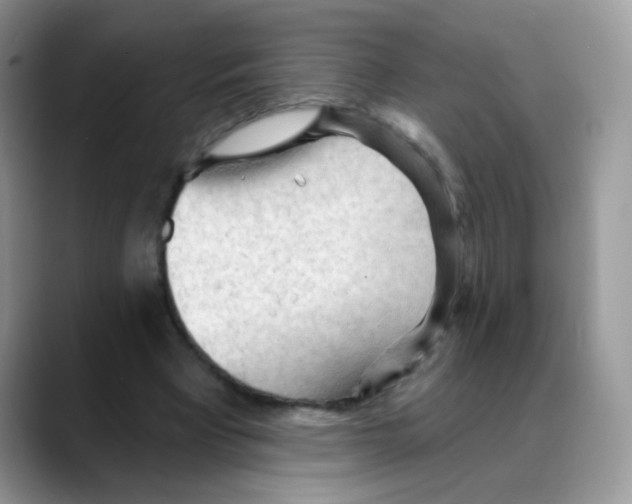 X0000088060393200706081654