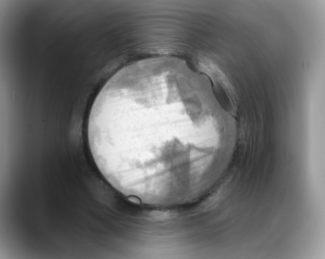 X0000088060394200706081653