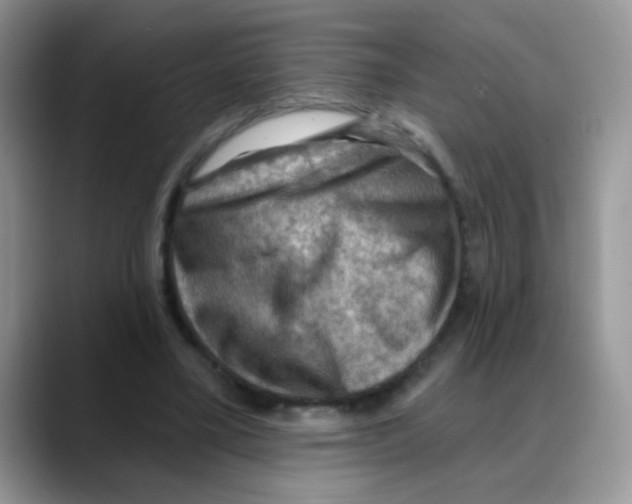 X0000088060395200706081653