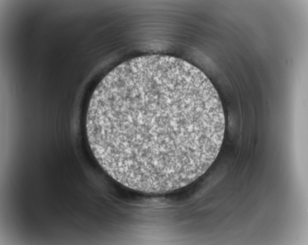 X0000088060396200706081653
