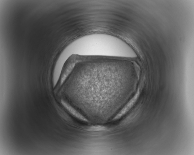 X0000088060397200706081653