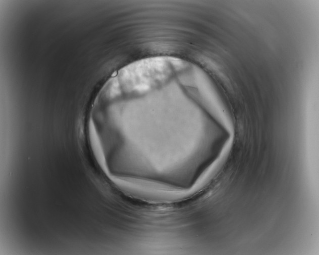 X0000088060398200706081653