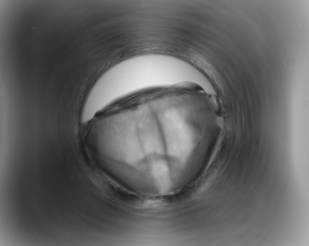 X0000088060401200706081653
