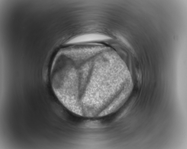 X0000088060403200706081653