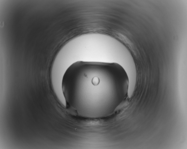 X0000088060405200706081653