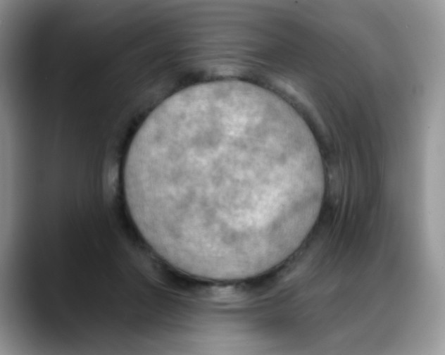 X0000088060406200706081653