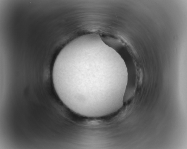 X0000088060407200706081653