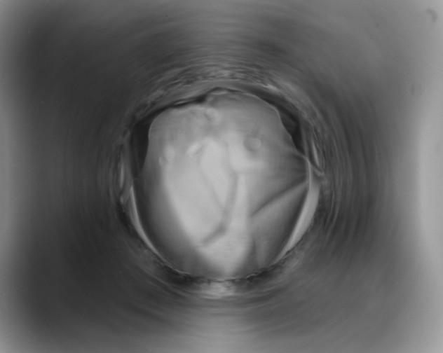 X0000088060409200706081653