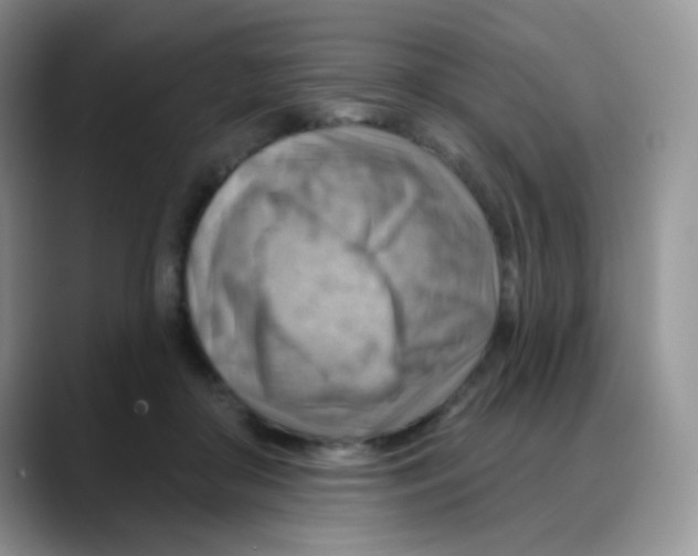 X0000088060410200706081653