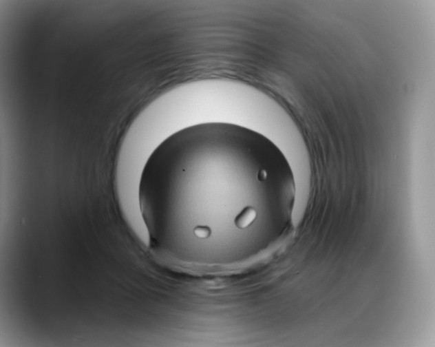 X0000088060411200706081653