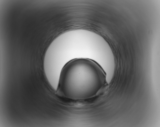 X0000088060412200706081653