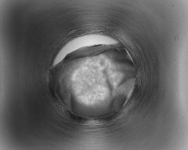 X0000088060413200706081653