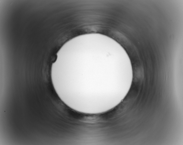 X0000088060414200706081653