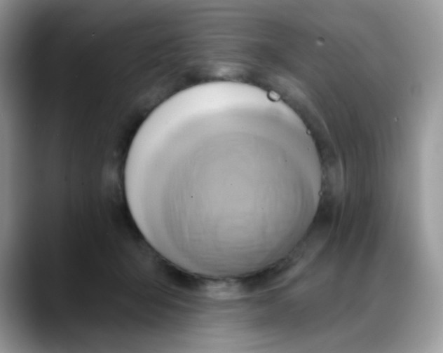 X0000088060415200706081653