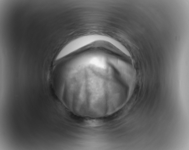 X0000088060417200706081653