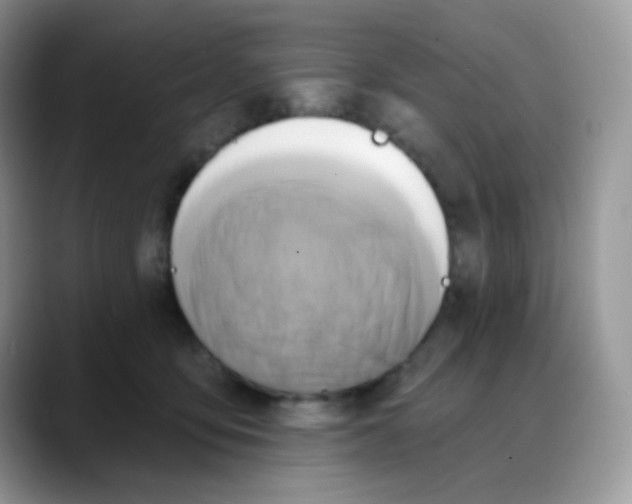 X0000088060419200706081653