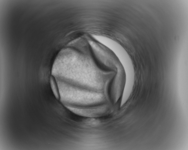 X0000088060421200706081653