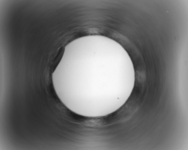 X0000088060422200706081653