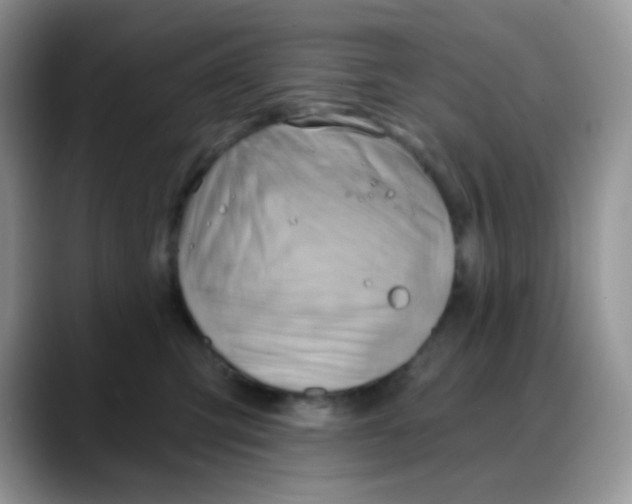 X0000088060423200706081653