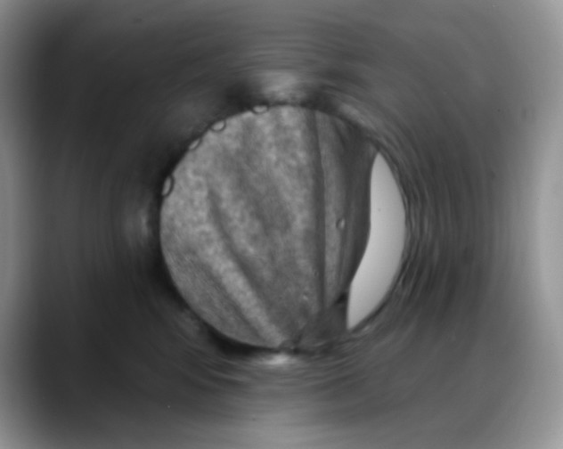 X0000088060424200706081653