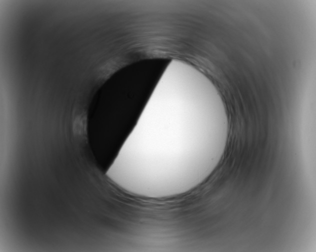 X0000088060425200706081653