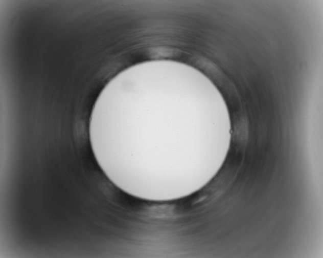 X0000088060426200706081653