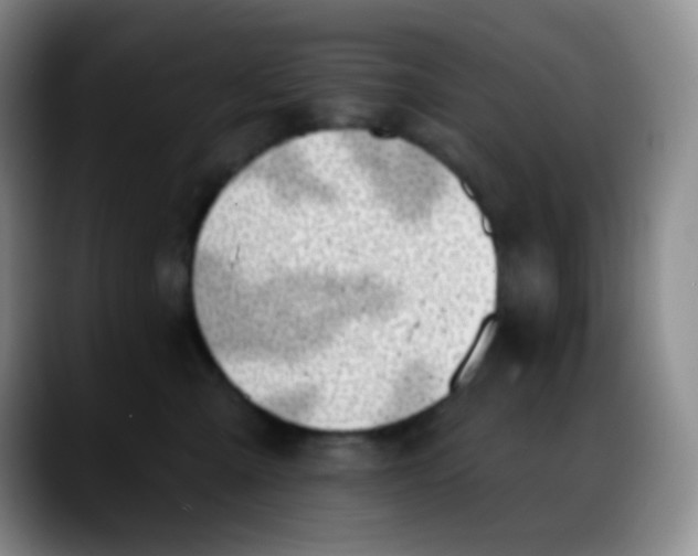 X0000088060427200706081653
