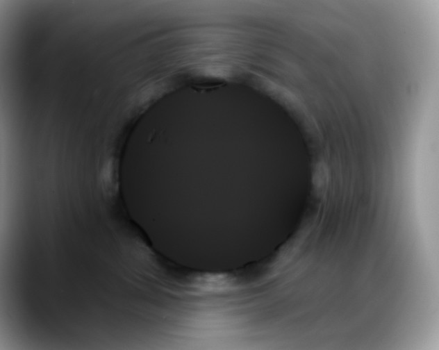X0000088060428200706081653