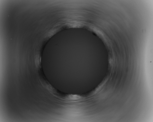 X0000088060429200706081653