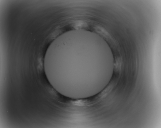 X0000088060430200706081653