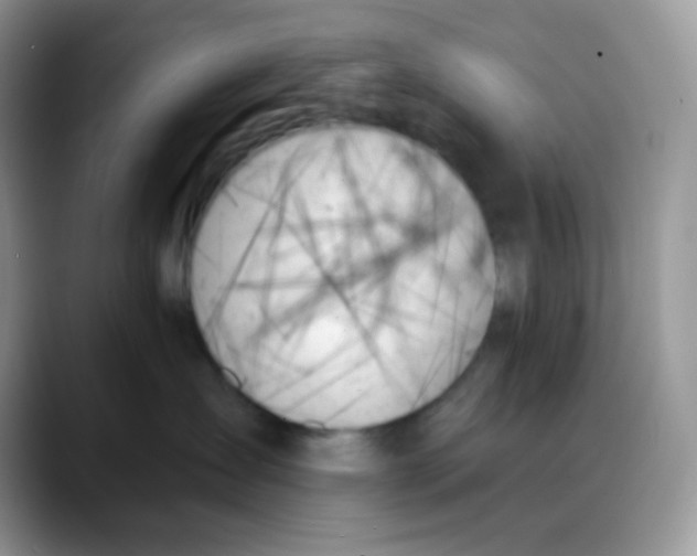 X0000088060431200706081653