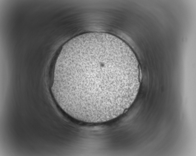 X0000088060433200706081652