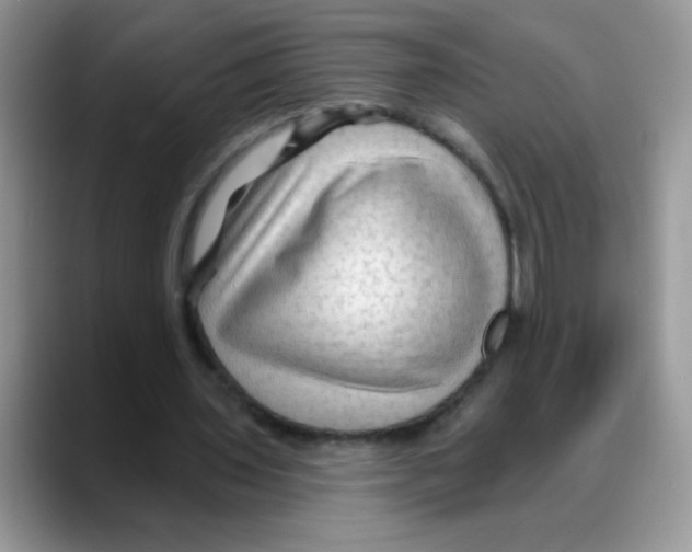 X0000088060435200706081652