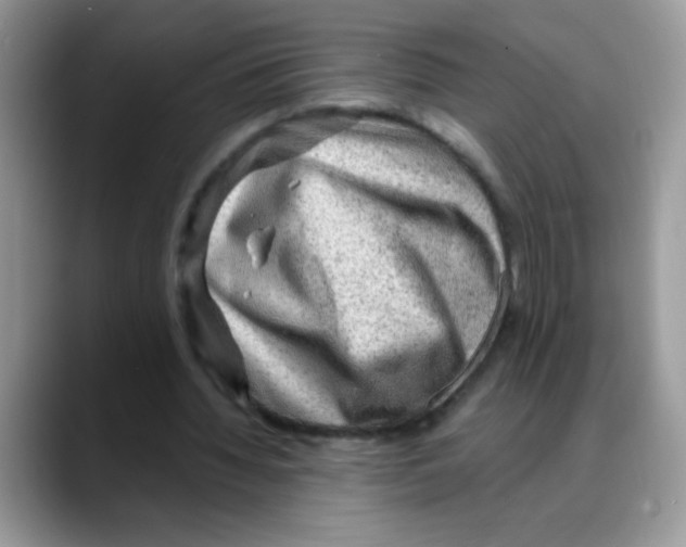 X0000088060436200706081652