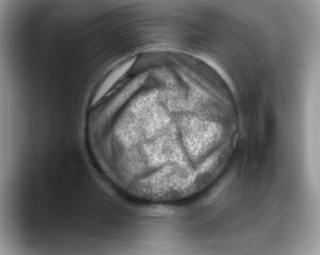 X0000088060437200706081652