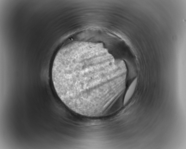 X0000088060438200706081652