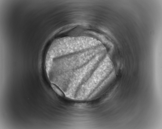 X0000088060440200706081652