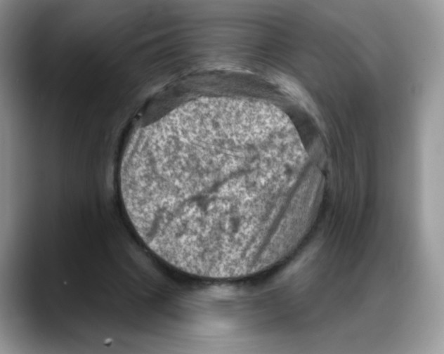 X0000088060441200706081652