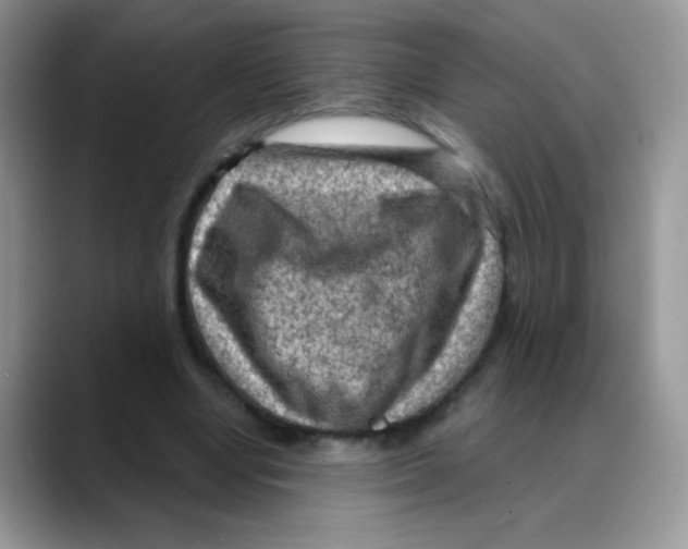 X0000088060442200706081652
