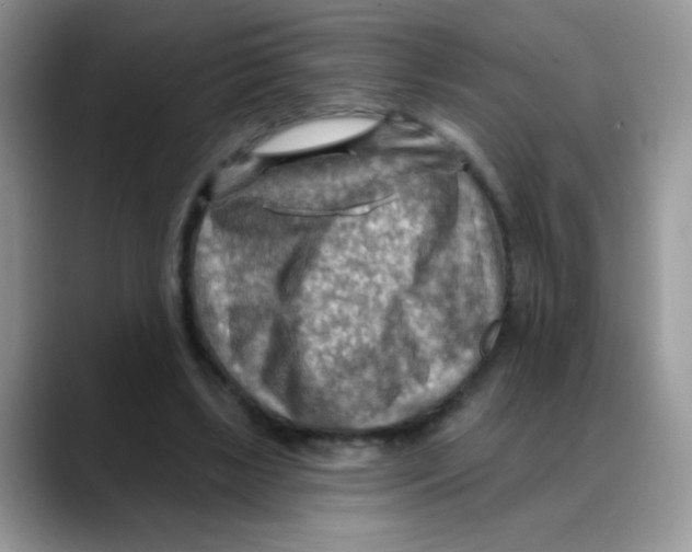 X0000088060443200706081652