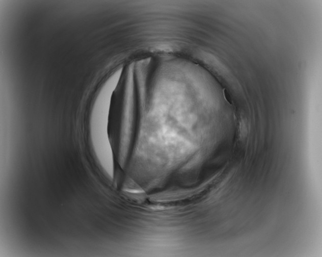 X0000088060444200706081653
