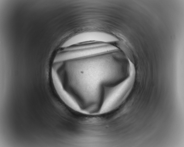 X0000088060446200706081653