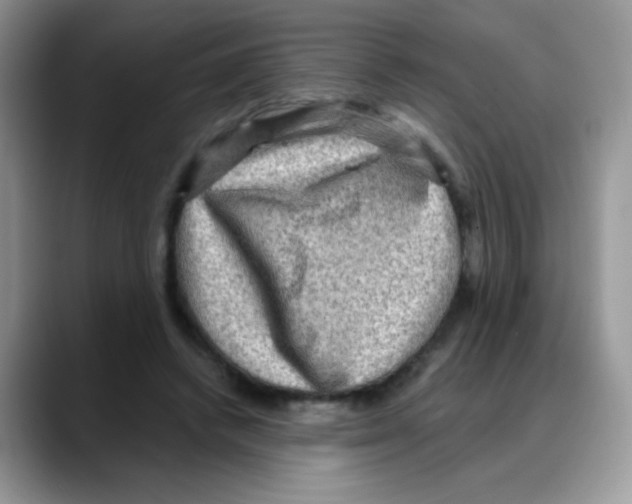 X0000088060448200706081653
