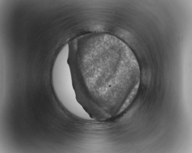 X0000088060449200706081653