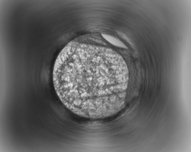 X0000088060451200706081653