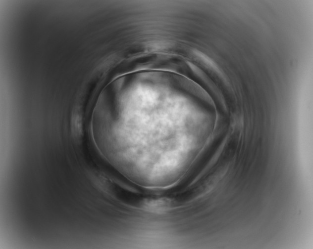 X0000088060452200706081653