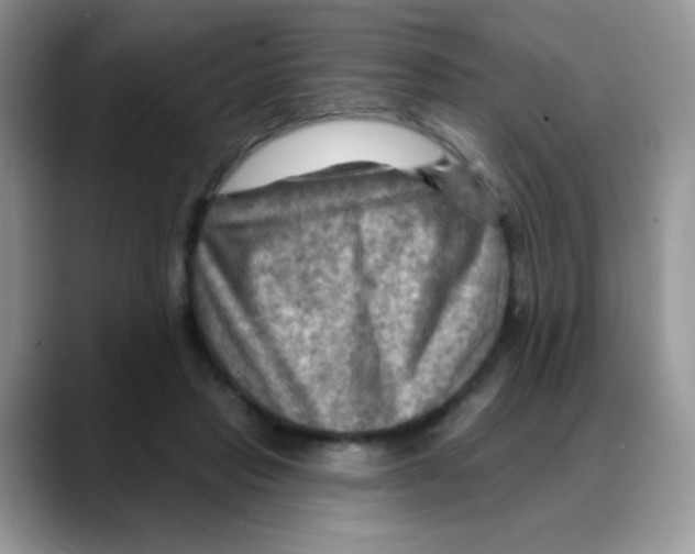 X0000088060453200706081653