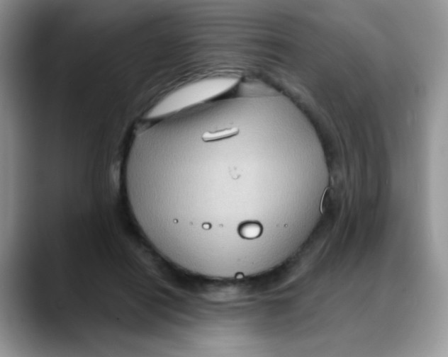 X0000088060454200706081653